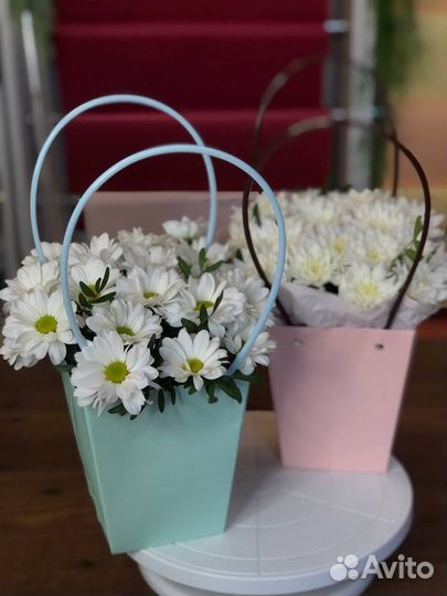 Композиции с ромашками