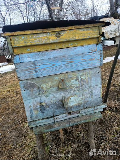 Продам ульи для пчел
