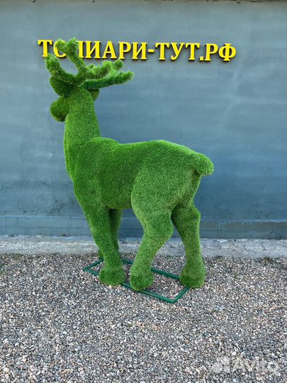 Топиари Топиарные фигуры Садовые фигуры