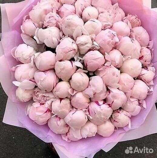 Пионы Розы Доставка