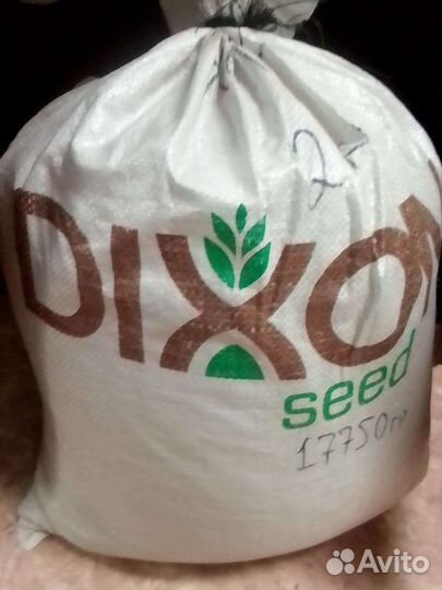 Семена арбуза Холодок