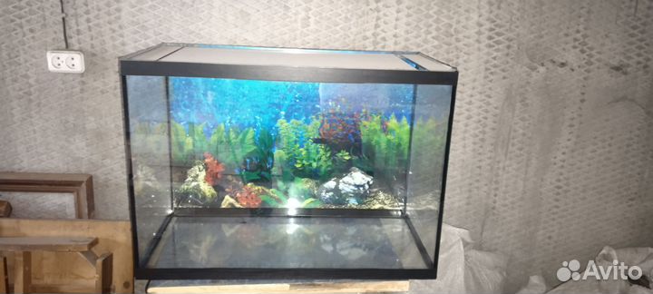 Аквариум