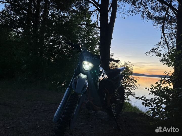 Продам progasi palma 300