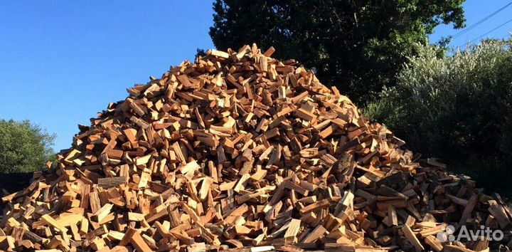 Дрова образцовые