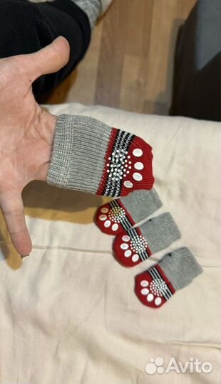 Носки для собак мелких и средних пород