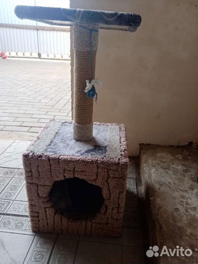 Кошачий домик с когтеточкой