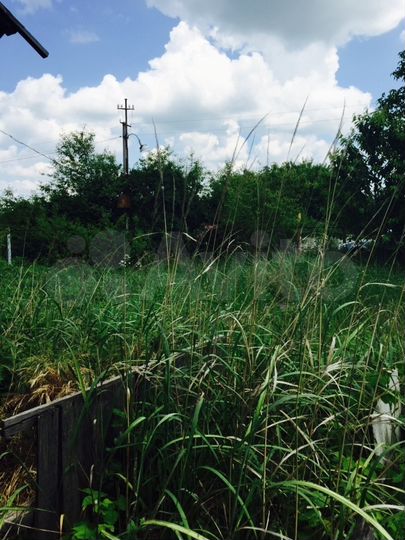 Участок 8 сот. (ИЖС)