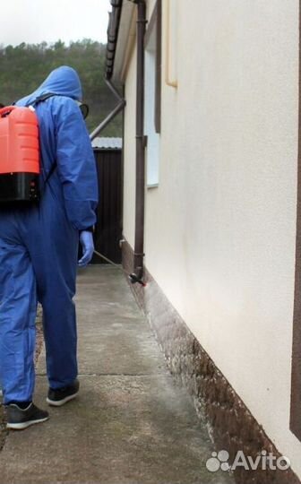 Средство для Уничтожения клопов, тараканов, крыс Дезинфекции