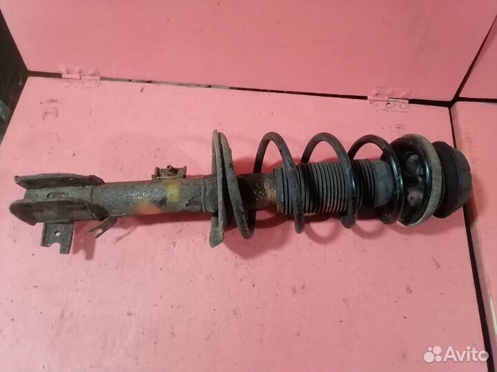 Амортизатора сузуки sx4. 4180079j52. Suzuki амортизатор 41800-82111. Амортизатор сузуки sx4. Амортизатор сузуки sx4.