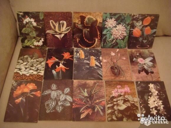 Комнатные растения. 3 разных комплекта СССР