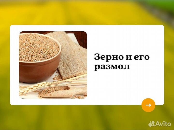 Пшеница Зерно (кг)