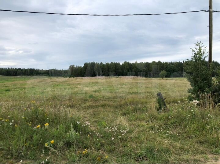 Участок 24 га (СНТ, ДНП)