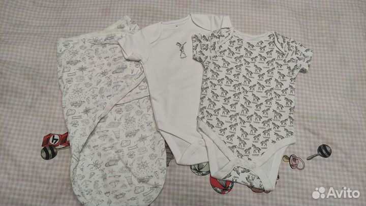 Боди Некст новые