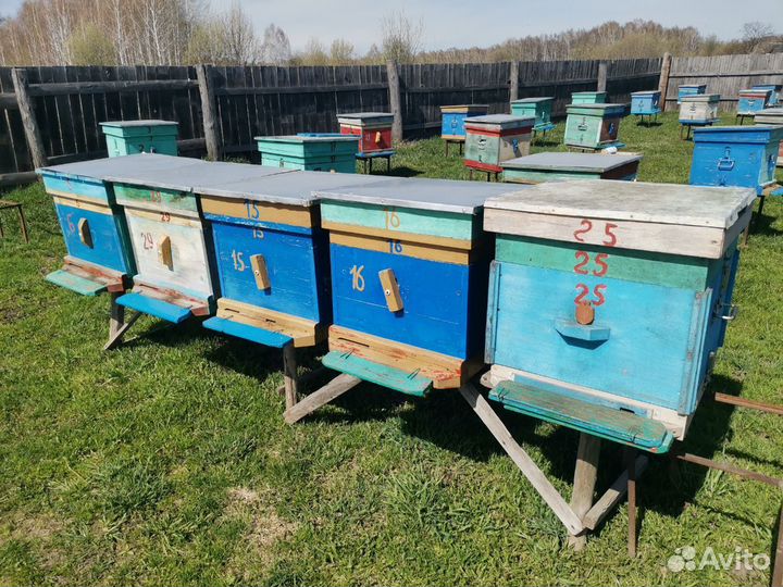 Продам пчелиные ульи