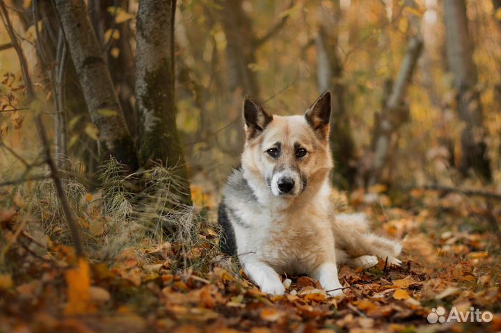 Уют и спокойствие