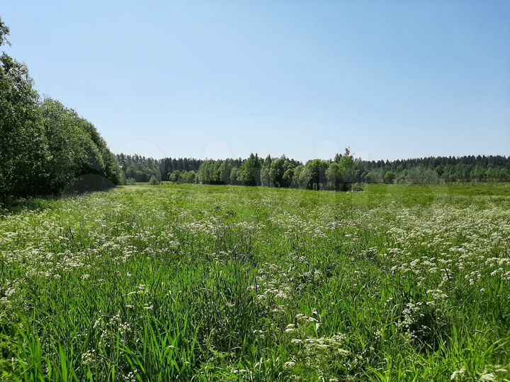 Участок 4,55 га (СНТ, ДНП)