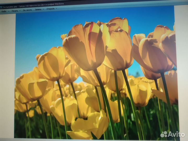 Монитор samsung