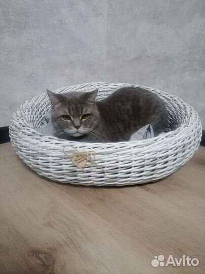 Лежанка для животных