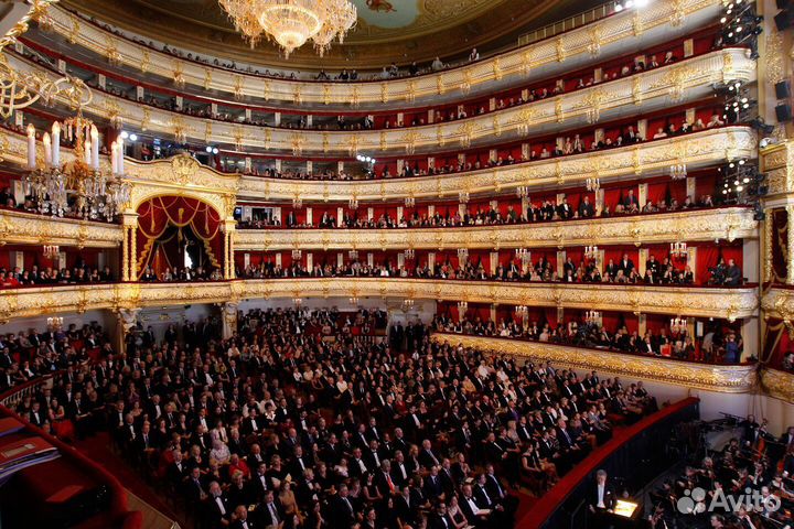 Билеты в Большой театр на балет