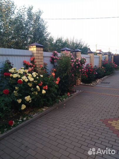 Баня для здоровья и отдыха