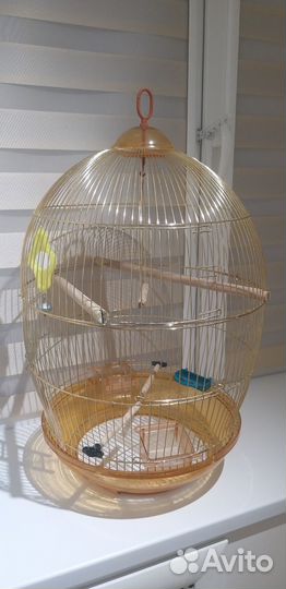 Продается клетка для попугая