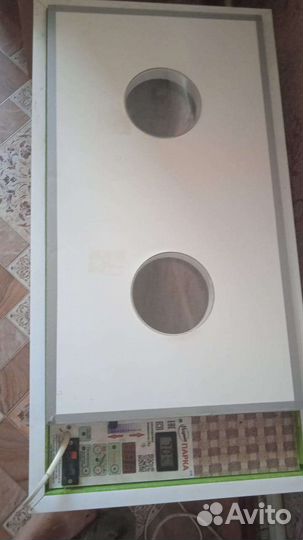 Инкубатор профессиональный