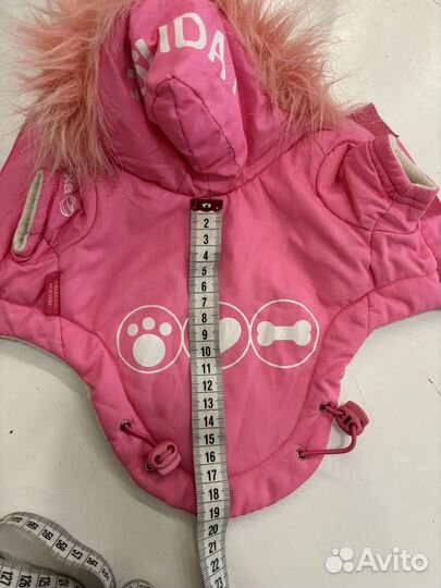 Одежда для маленьких собак