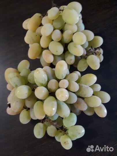 Продам виноград