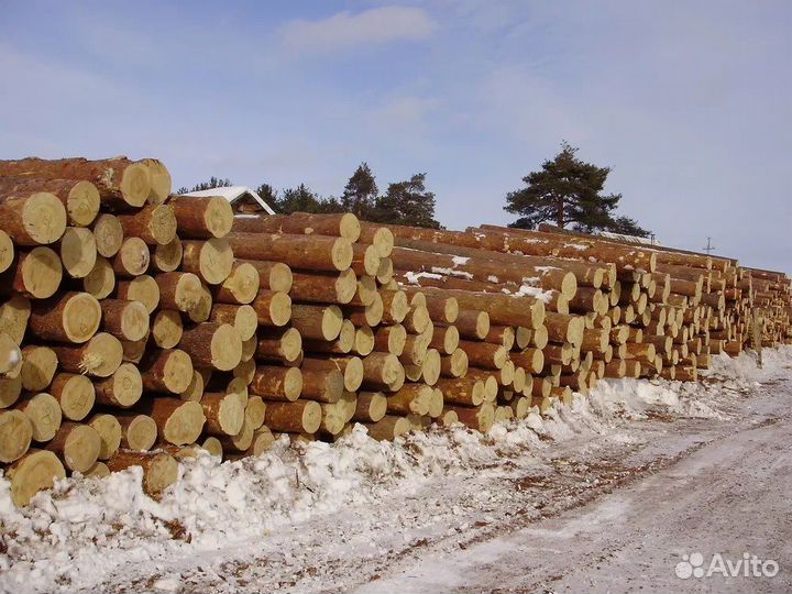 Брёвна сосновые для распиловки и строгания