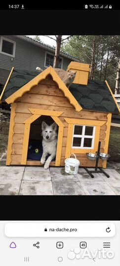 Будка для собаки