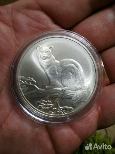 Монета Соболь 34 грамма Серебра 925 проба
