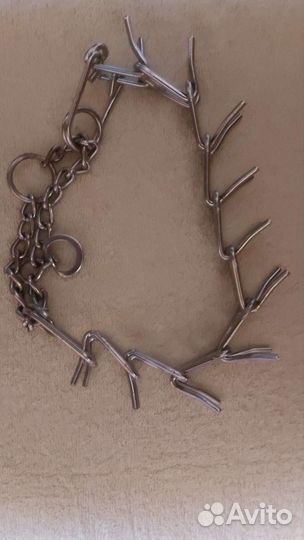 Строгий ошейник для собак