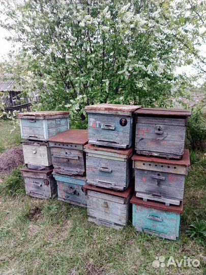 Ульи для пчел бу