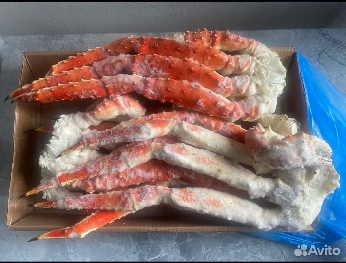 Клешни Камчатского краба