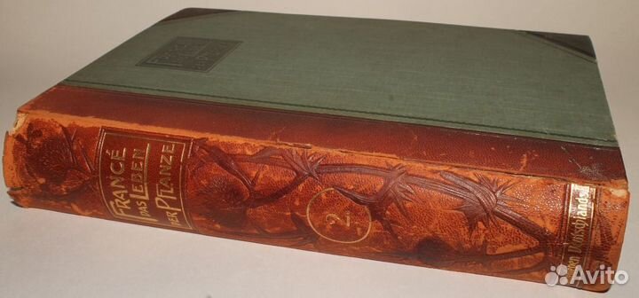 Антикварная Книга Жизнь Растений 1907г Иллюстрации