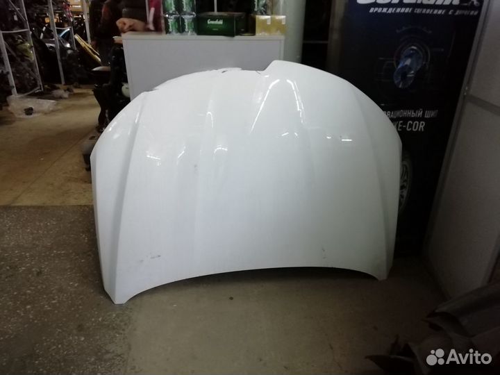 Капот Renault Arkana (651009338R)