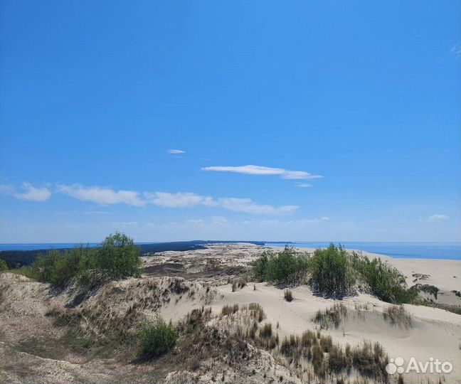 Из Светлогорска на Куршскую косу. Высота Мюллера