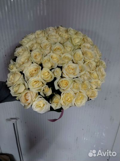 Букет роз. Розы