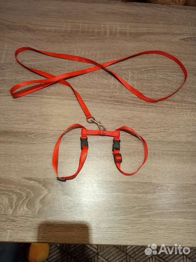 Шлейка для животных.новая