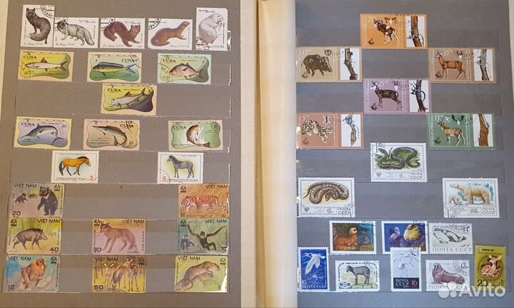Альбом с почтовыми марками СССР