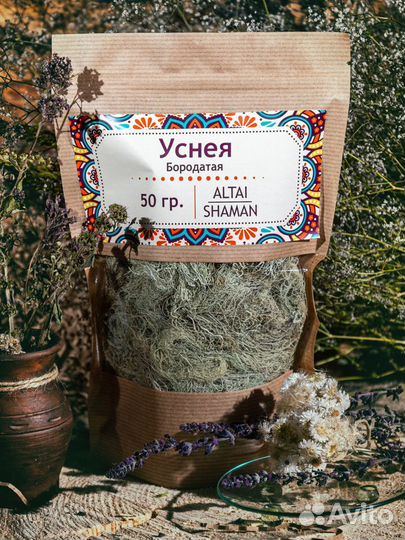Уснея бородатая