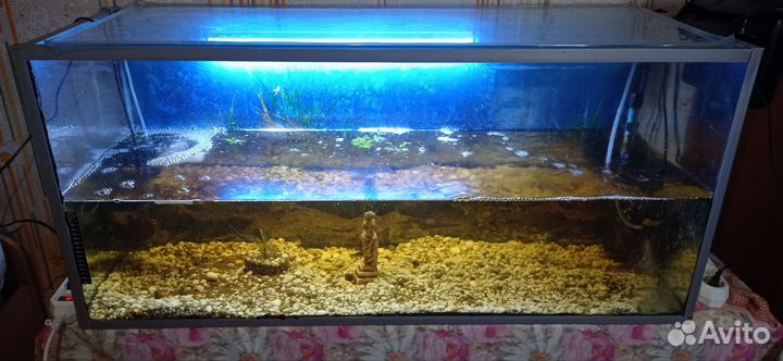 Аквариум