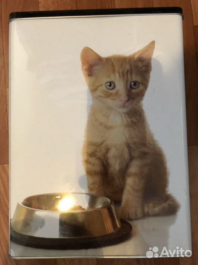 Контейнер для хранения корма для животгых