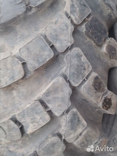 Шины резина. 15.00 r20