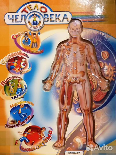 Энциклопедия 