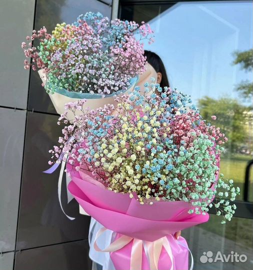 Гипсофила радужная