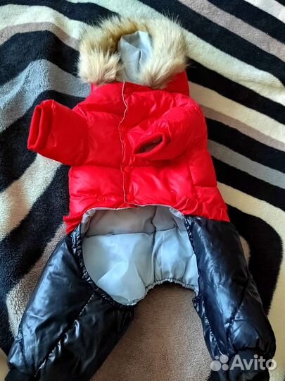 Одежда для маленькой собаки