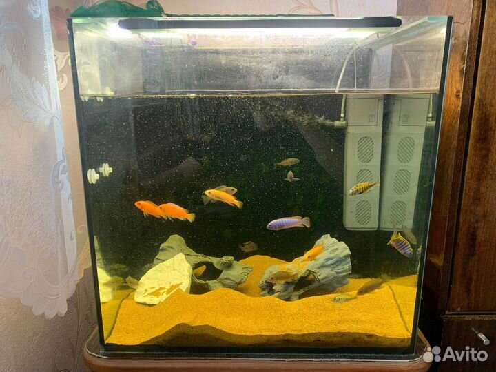 Аквариум