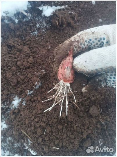 Инвестиции с высоким доходом