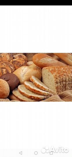 Выпечка, хлеб на корм животным